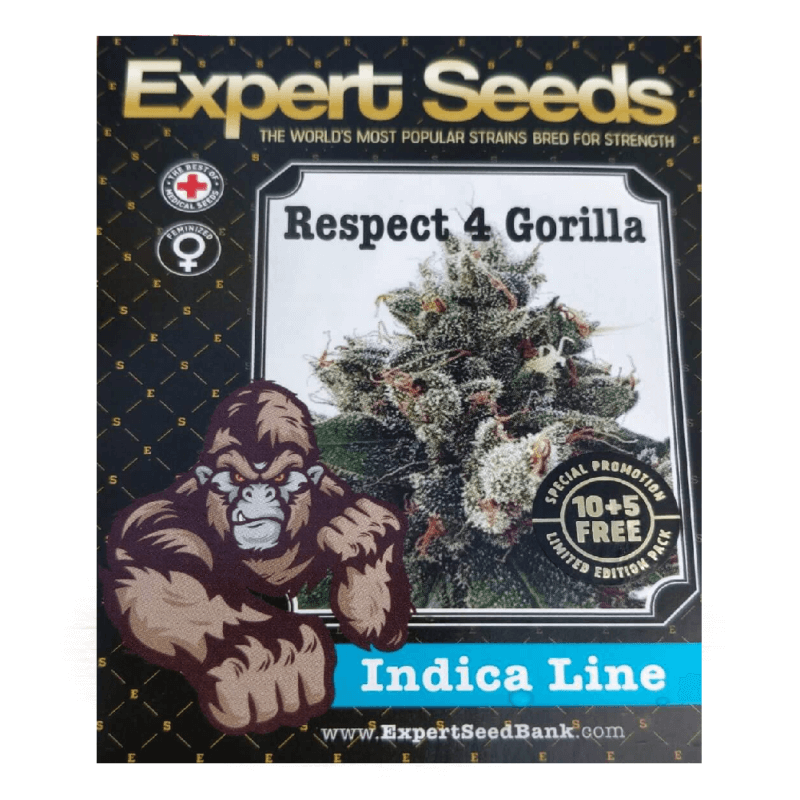 Gorilla Cheese Strain GOG Seeds Bank