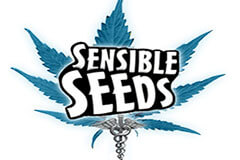 sensible seeds -