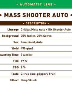 Mass Shooter Auto