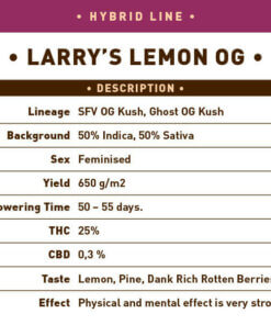 Hybrid Larrys Lemon OG back 1