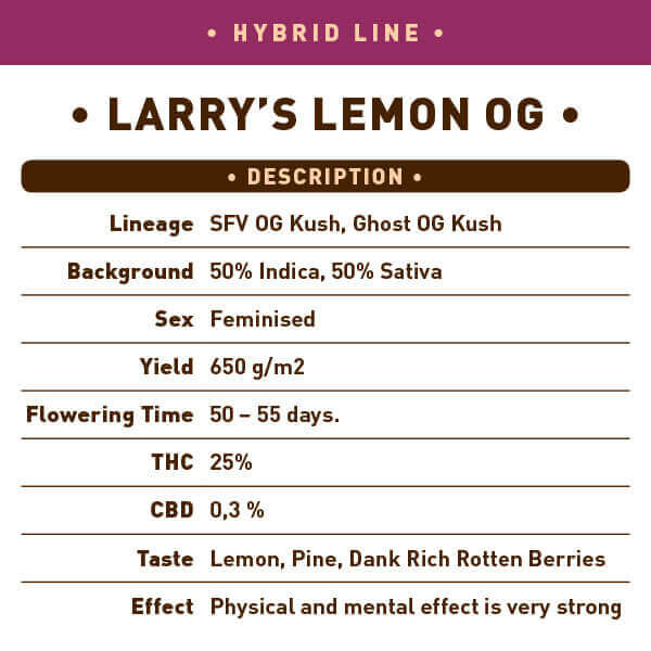 Hybrid Larrys Lemon OG back 1 -