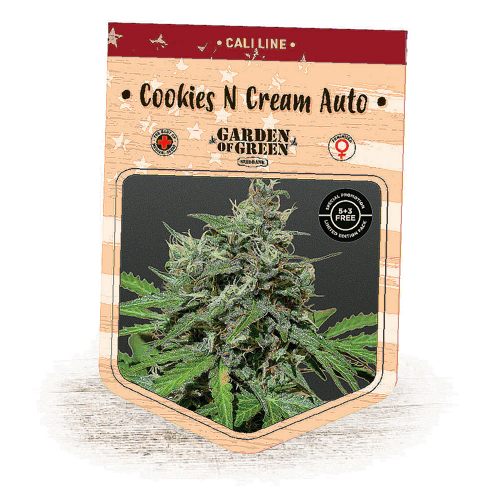 Cookies N Cream Auto Girl Scout Cookies Auto x Cream Caramel Auto Cannabis Seeds Garden of Green 1