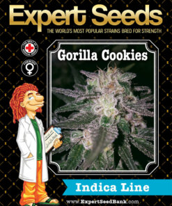 Gorilla Cookies front 1 -