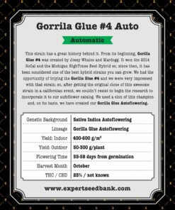 GorrillaGlue4 Автозад 1 -
