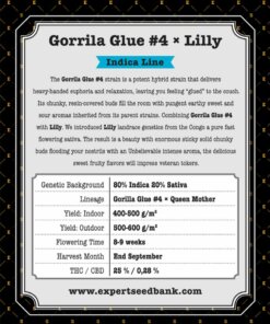 GorrillaGlue4 Lilly back 1 -