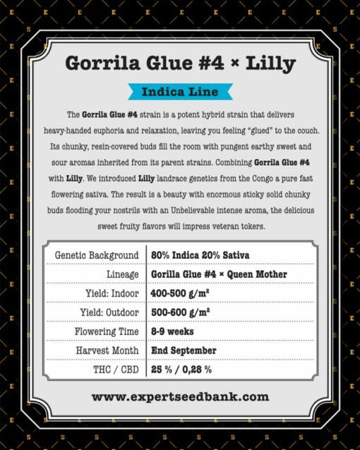 GorrillaGlue4 Lilly back 1