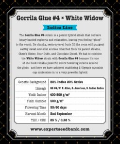 GorrillaGlue4 WhiteWidow back 1 -