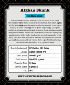 Afgan Skunk back 1 -