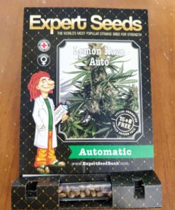 Lemon Haze Auto Expert Seeds -