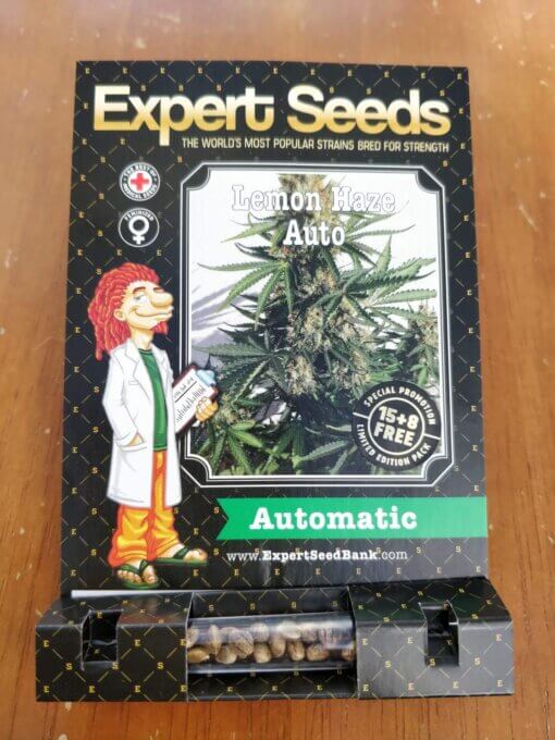 Lemon Haze Auto Expert Seeds -