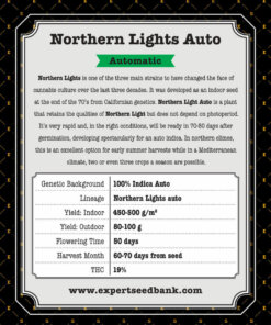 Northern Lights Auto back 1 -