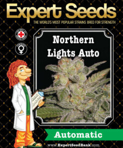 Northern Lights Auto front 1 -
