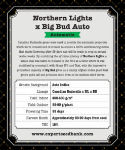 Northern LightsBig Bud Auto back 1 -