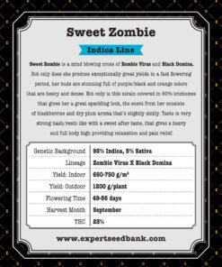 Sweet Zombie back 1 -