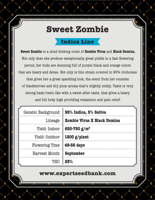 Sweet Zombie back 1 -