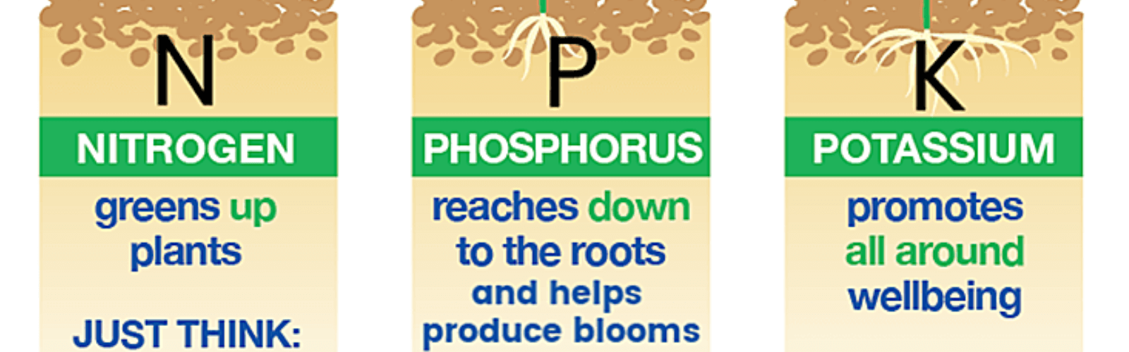 Los tres nutrientes principales para las malas hierbas son el nitrógeno, el fósforo y el potasio.
