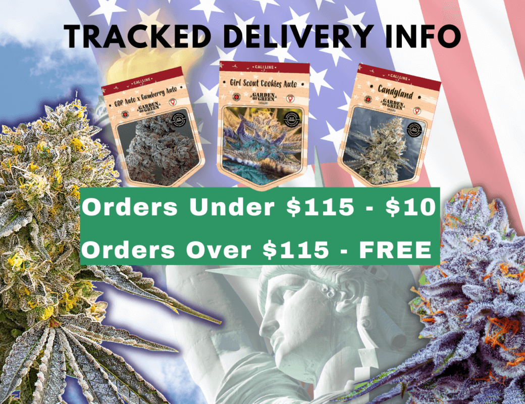 TRACKED DELIVERY INFO 1600 × 500px 1300 × 1000px -