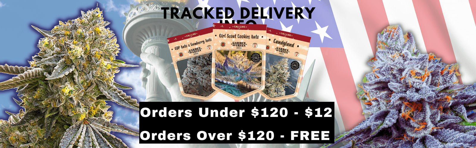 TRACKED DELIVERY INFO gog -
